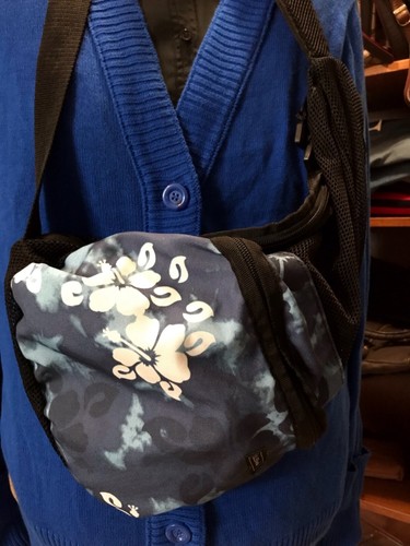 ll bean ameribag