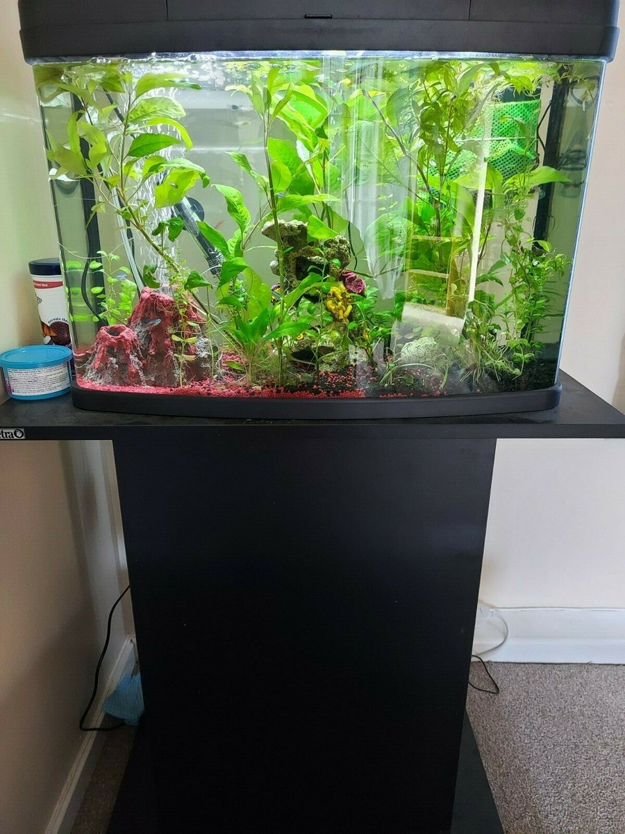 64 litre fish tank and stand | eBay UK