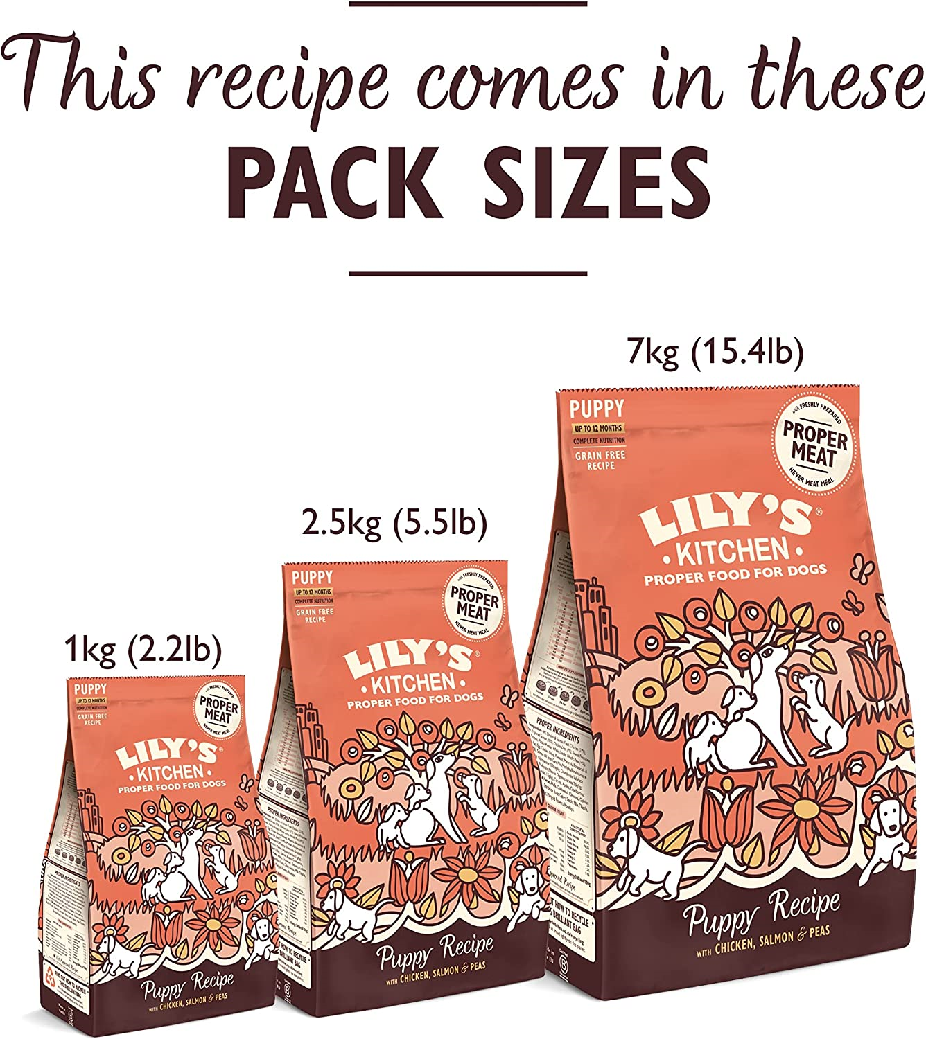Lily's Kitchen Dry Dog Food, Chicken and Salmon, 1kg eBay