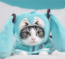 Cute Pet Hatsune Cloak Cat Dog Miku Cosplay Shawl