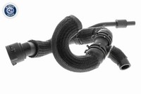 KÜHlerschlauch Oben Vaico V10 4288 FÜR Audi KÜHlmittelschlauch Wasserschlauch