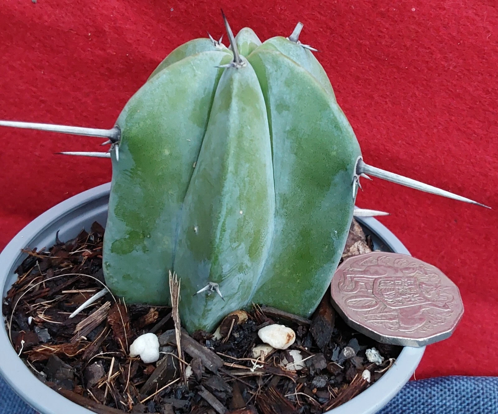 Picture 3 of 7