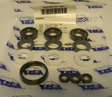 Cat Pump 76262 Seal Kit For 67DX39G1 and DXPW60605 Pressure Pump 67DX391l 