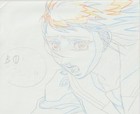 The Twelve Kingdoms Juuni Kokki Genga Douga Original Sketches Pierrot - Youko — photo 10
