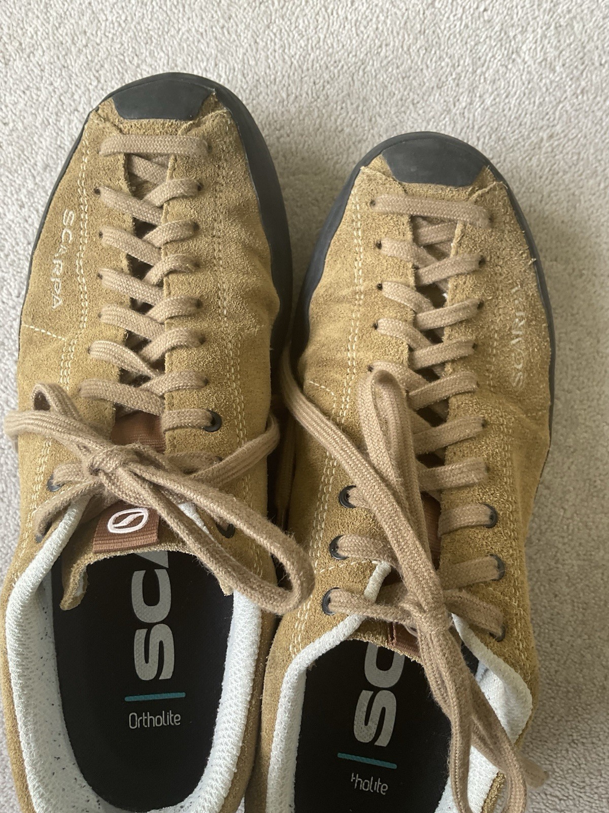 SCARPA Mojito Wrap approach shoe Size UK 9 EU 43