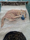 Vintage CURIOUS KITTIES Cat Bell-Pull Picken Tapestry/Wall Scroll w/Tassel - 40” — photo 7