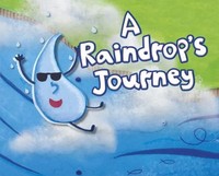 A Raindrop's Journey | Suzanne Slade | Englisch | Buch | Follow It! | Gebunden