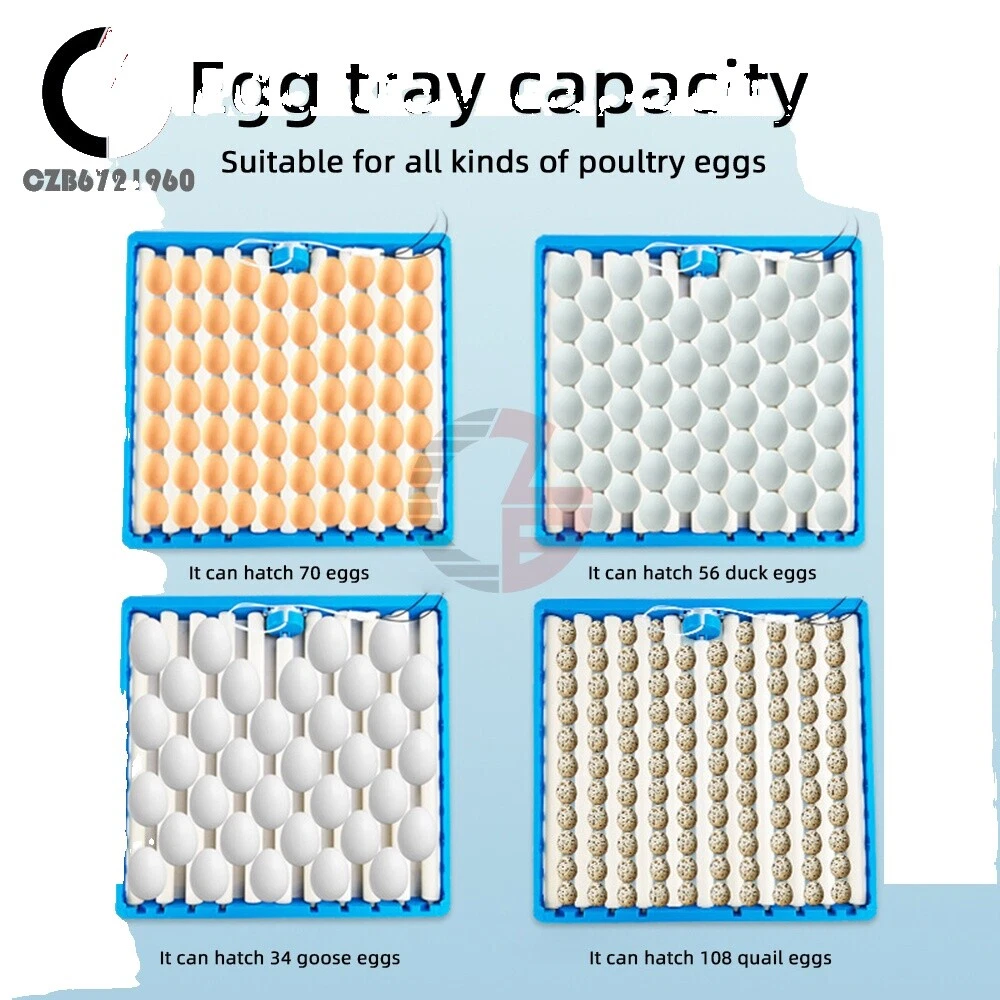 Chicken Incubator Backyard Poultry Supplies Plastic House/Coop