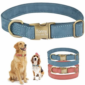 dog collar metal clasp
