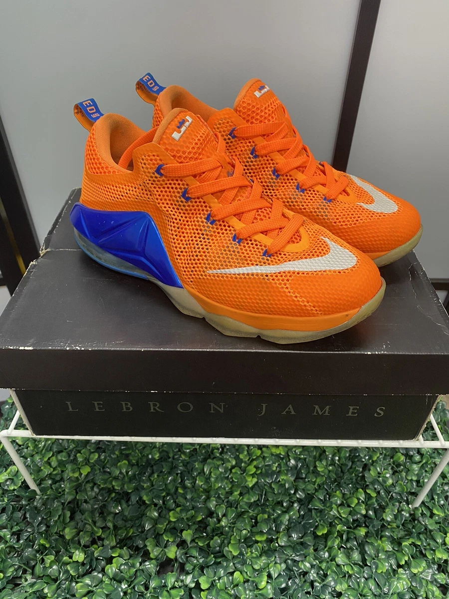 Nike Lebron Soldier XII Basketball Shoes Youth Size 1Y Athletic Shoe  AA1353-003 | SidelineSwap