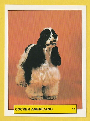 Hunde Spanish Trading Card Sticker ca 1981 Merchante #11 American Cocker Spaniel