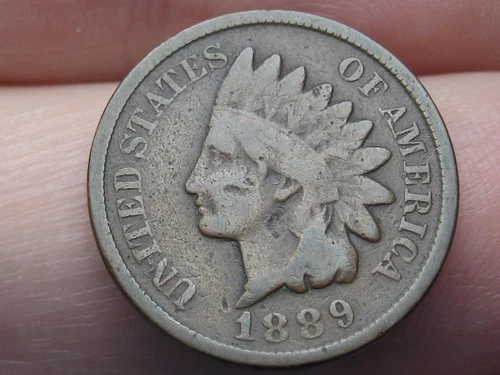 1889 Indian Head Cent Penny- VG/Fine Details- Chocolate Brown