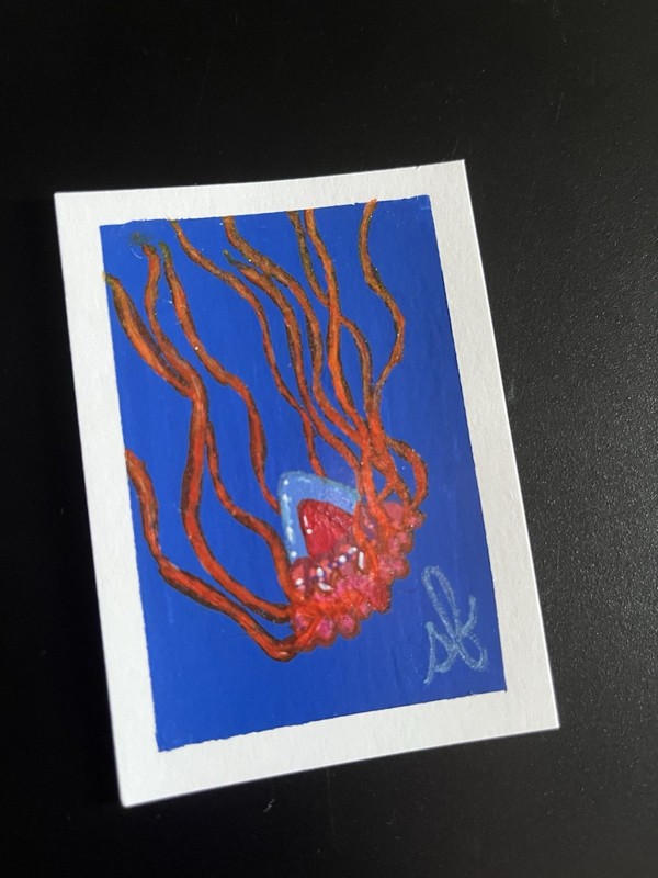 ‘Helmet’ Jellyfish 8-ACEO-ATC