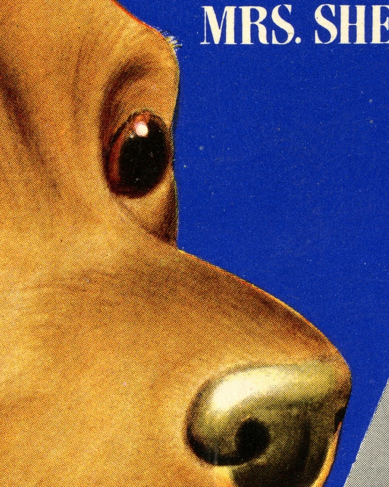 ¡PÓSTER PERRO VINTAGE! (hasta tamaño completo 24" x 36") - Nabisco 1952 - Cocker Spaniel Foto 4 de 4