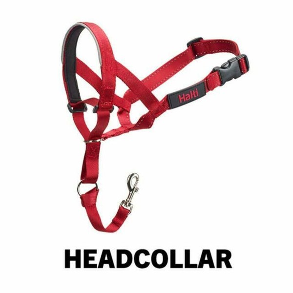 Halti Dog Pulling Halter Head Collar Padded Noseband Harness Large Size