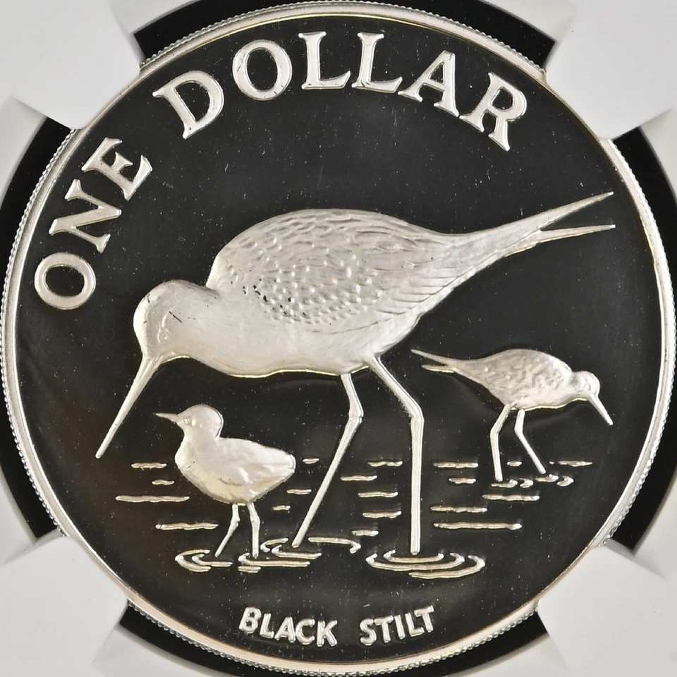 NEW ZEALAND. 1985, 5 Dollars, Silver - NGC PF69 - Black Stilt and Chicks - Image 3 of 4