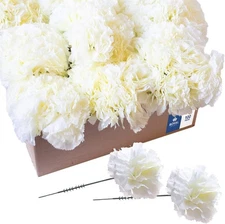 Royal Imports Artificial Carnations, Silk Faux Flowers, for Funeral Ivory 