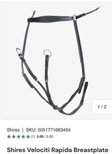 martingale horse