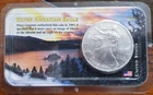 2001 B/U ASE 1 oz .999 Fine Silver in CA Lake Tahoe Display by Littleton Coin 🔥