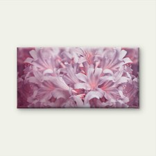 Soft Pink Lily Bloom  Wall Art Canvas Office Home Room Framed 120x60cm