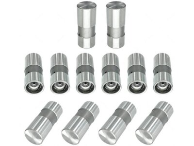 Replacement 28VQ38Q Valve Lifter Kit Fits 1977-1979 Pontiac Phoenix