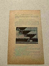 KP121) Gold Rush Mining Miners Stoping Colorado Mine Shaft 1890 Engraving
