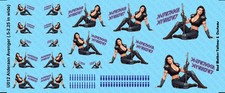 Nose Art Alderaan Avenger Opaque Waterslide Decals for Star Wars Vehicles