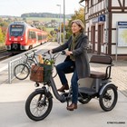 Shopping Dreirad Elektro Fahrrad Senioren Differential Lastentrike 18 Zoll 250kg