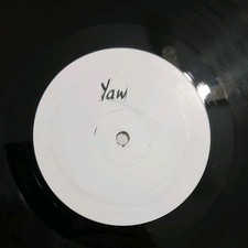 DJ Spark Mentalism, Assylum, Escape into the darkness 12" Vinyl  Promo