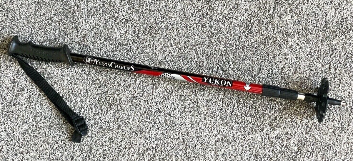 Single cheap hiking pole