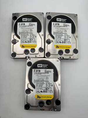 3 X Western Digital  2TB 7200RPM SATA 3.5'' Enterprise HDD WD2003FYYS
