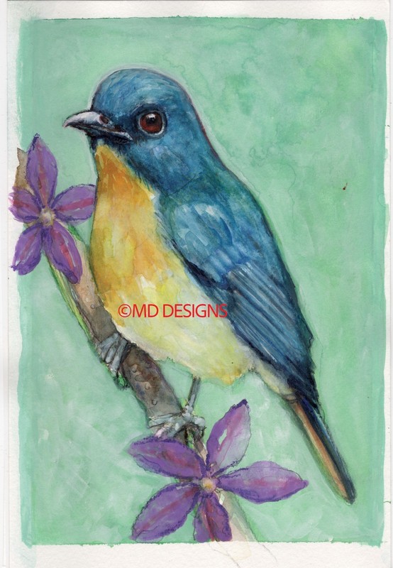 Original Watercolor Painting 5.9 X 9 Tickell's blue flycatcher Bird Art