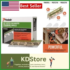 High-Performance Hot Dipped Galvanized Framing Nails - 2" for Heavy-Duty Framing