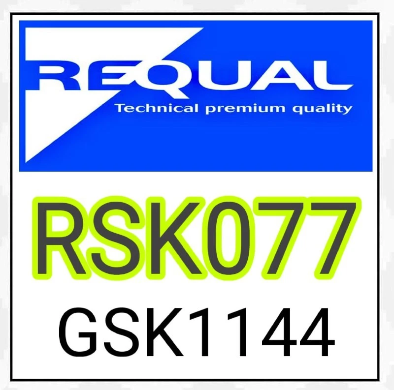 TRW Bremsensatz Trommelbremse Hinten für RENAULT 19 II (B/C53) GSK1144 - Imagen 2 de 2