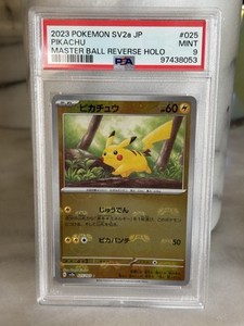 Master Pikachu | eBay Master Pikachu | eBay