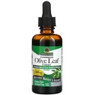 Organic Olive Leaf Herbs & Botanicals