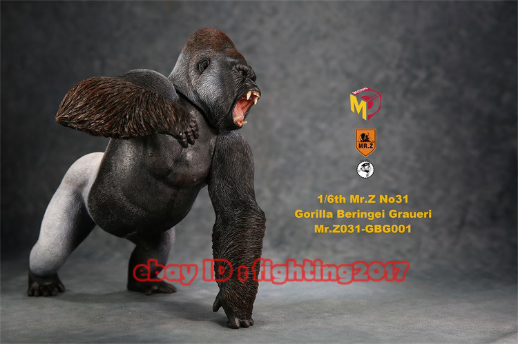 1/6 Mr.Z Animal Model NO.31 Double Headed Gorilla Beringei Graueri