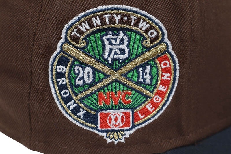 TWNTY TWO THE BX SNAPBACK CAP Hat BRONX NATIVE BROWN ONE