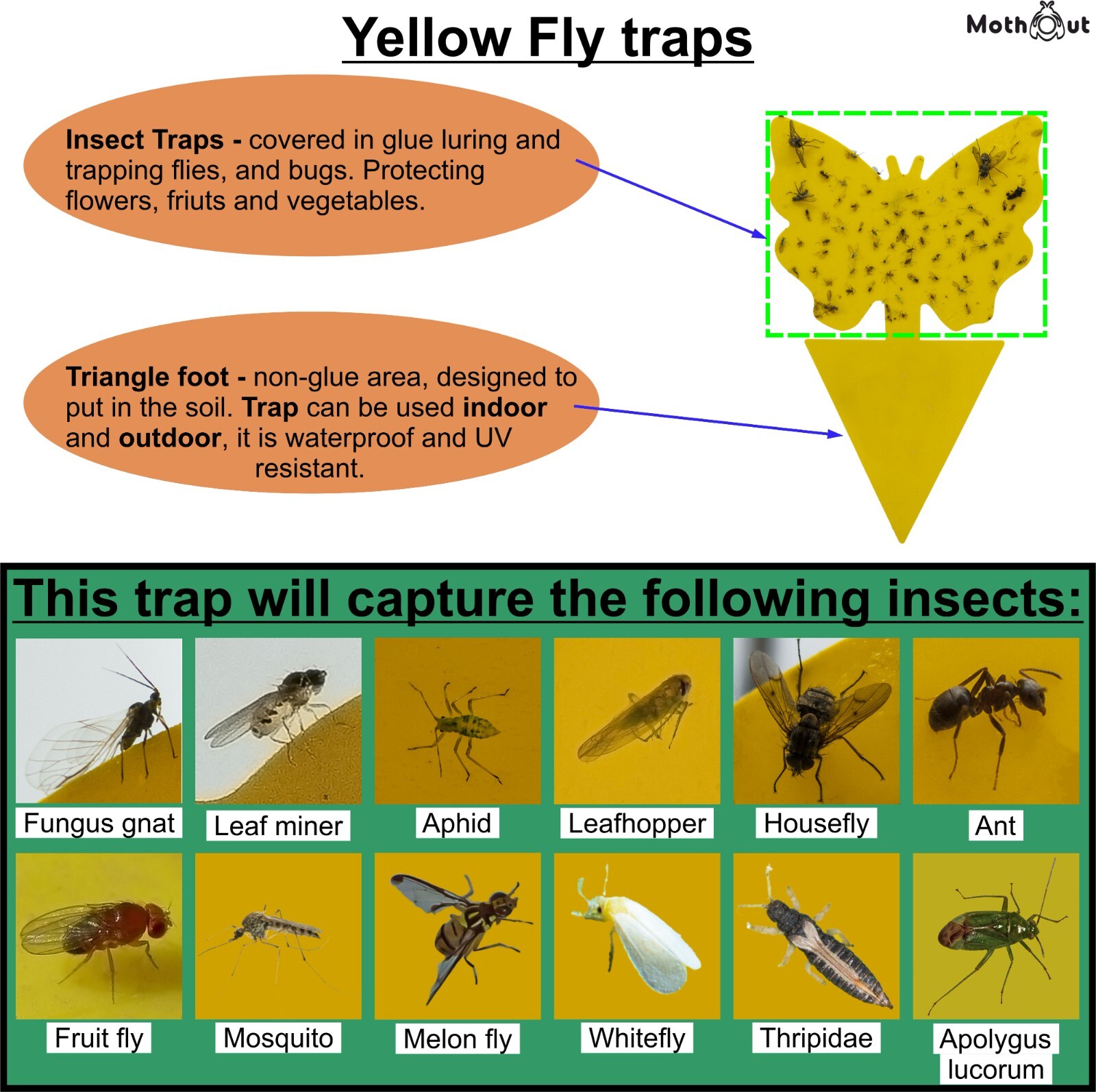 MothOut 8 Pheromone Pantry Moth Traps, Food Moths Killer for Kitchen