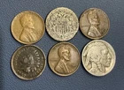 U.S Coin Collection - Indian Cent + Wheat Cents, Shield + Buffalo Nickel