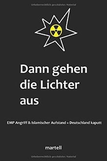 Dann gehen die Lichter aus: EMP Angriff  islamischer Au... | Buch | Zustand gut