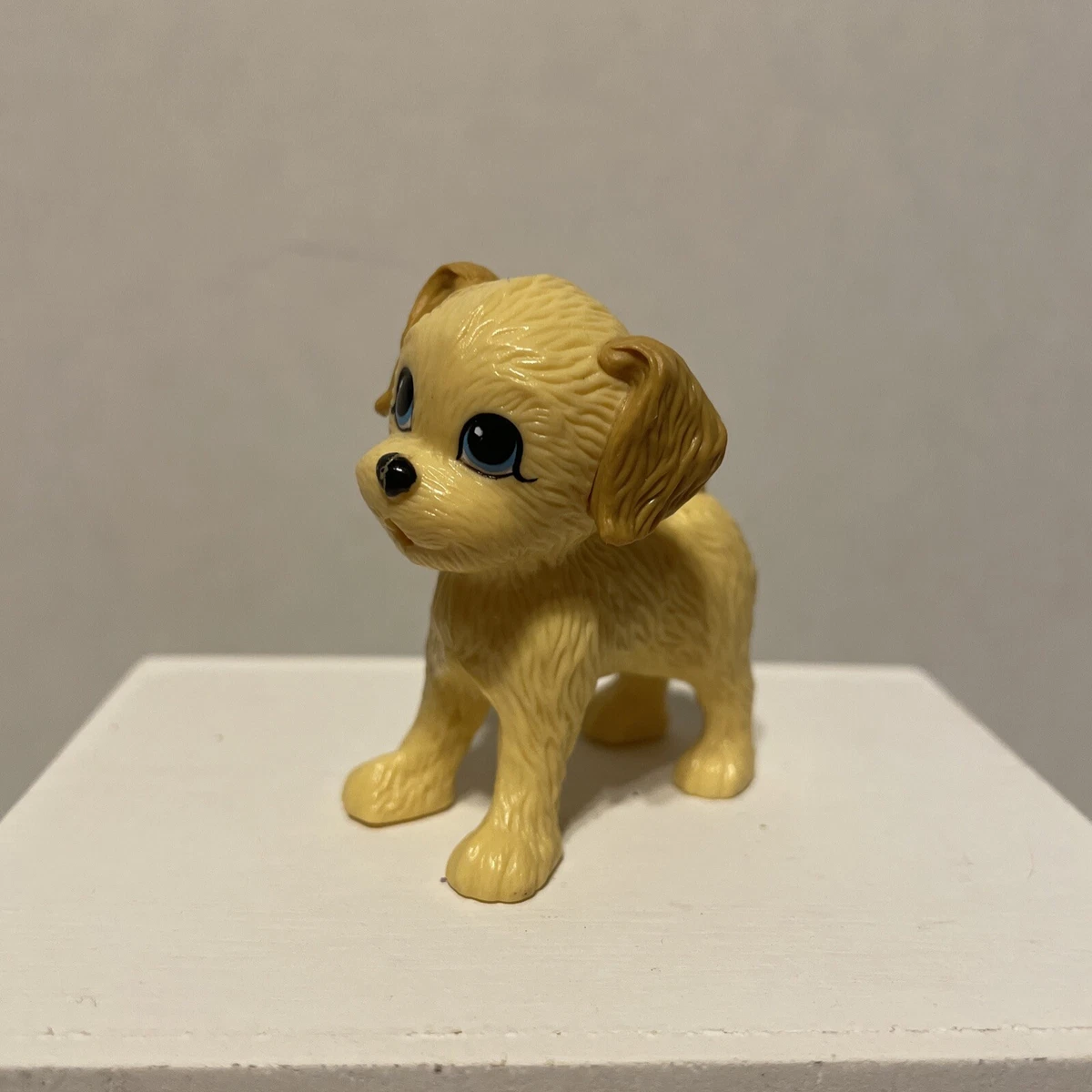 Potty training top male puppy