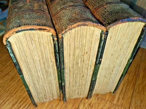 HISTORIANS' HISTORY OF THE WORLD (1908) Williams Ed., 13 Volumes - Picture 4 of 7