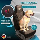 Zdjęcie 12 z 13