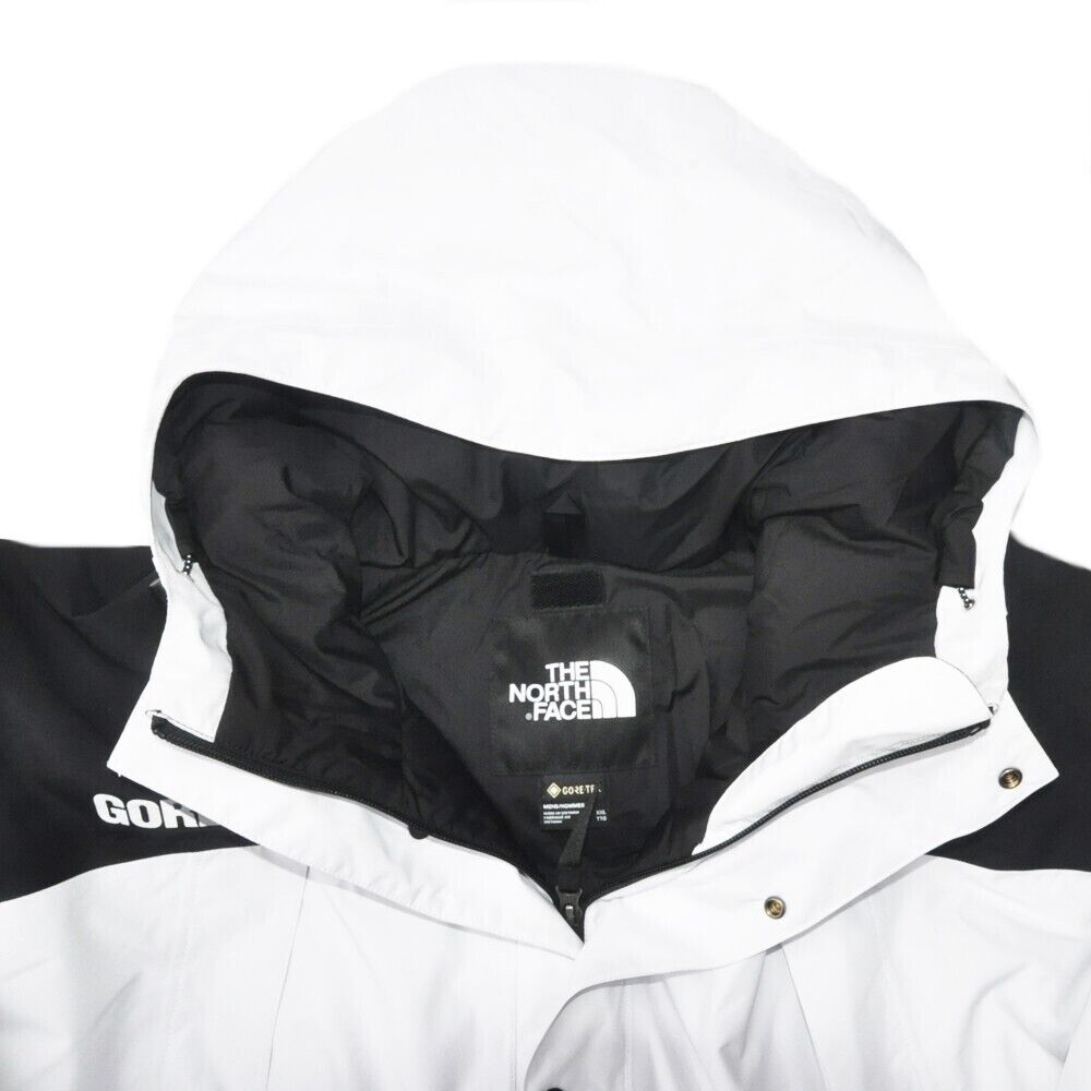 THE NORTH FACE GORE TEX MOUNTAIN GUIDE INSULATED DOWN JACKET THE NORTH FACE GORE TEX MOUNTAIN GUIDE INSULATED DOWN JACKET