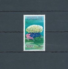 COMORES - 1962 YT 6 - POSTE AÉRIENNE / AIR MAIL - TIMBRE NEUF*