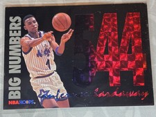 1994-95 NBA Hoops - Big Numbers Anfernee Hardaway #BN8 Rainbow