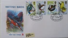 1980 MERCURY FDC - BRITISH BIRDS STAMPS - RSPB PIONEERS IN BIRD PROTECTION SANDY