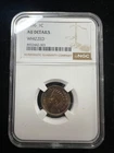 1896 Indian Head Cent 1c NGC Unc Details - Altered Color #G686