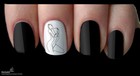 Bild 7 von 9